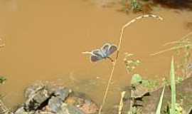 Queluzito - Queluzito-MG-Paisagem no Rio Paraopeba-Foto:Rogrio Santos Perei