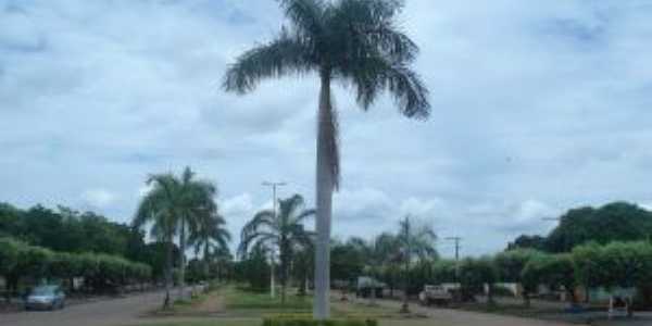 PRAA NA AVENIDA CENTRAL DE RIACHINHO, Por MANU