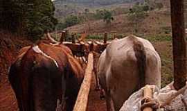 Rio Vermelho - Imagem rural