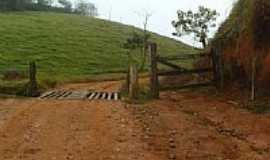 Santa Cruz do Escalvado - Mata Burro na entrada do Stio Merengo em Santa Cruz do Escalvado-MG-Foto:rafael sguizzato