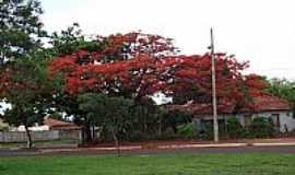 Santa Vitria - Santa Vitria-MG-Avenida Brasil com Rio Grande do Sul-Foto:Espirito_dePorco_SV