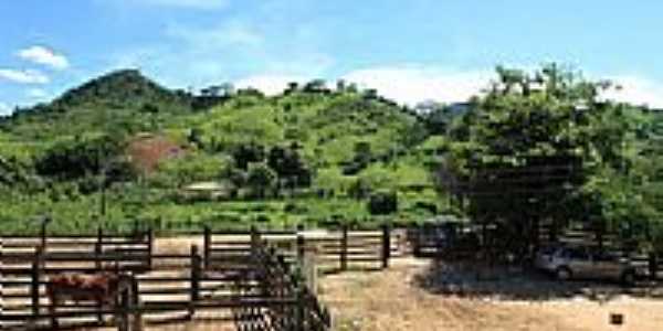 Fazenda Sossego em Santo Antnio da Fortaleza-Foto:Gilson de Souza