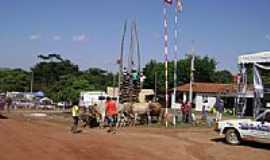 Santo Antnio do Boqueiro - Fogueira sendo erguida-Foto:Mateus Kryszczun Dal 