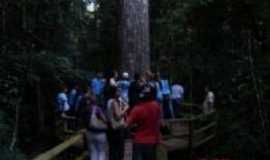 Santo Antnio do Manhuau - Visite este Lugar! Reserva Ecolgica, Por Clio do nascimento Silva
