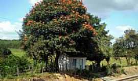 Santo Antnio dos Campos - Casa na beira da estrada de ferro em Santo Antonio dos Campos-Foto:paulosalatiel