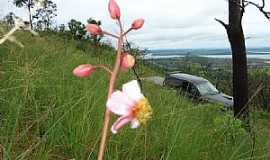 Santo Hilrio - Santo Hilrio-MG-Alto da Serra-Foto:Prof. Dr. Ivan Andrade