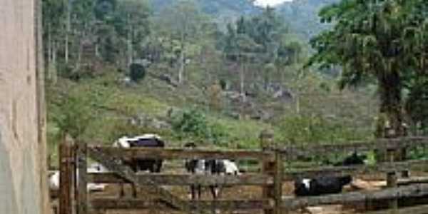 Curral da Fazenda Boa Esperana-Foto:FTADEU