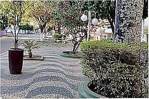 Imagens da cidade de S�o Jo�o do Para�so - MG
