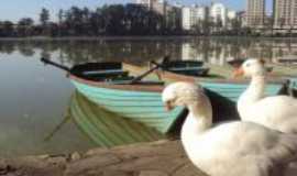 So Loureno - Parque das guas, Por SALLES
