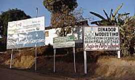 Senador Modestino Gonalves - Entrada da cidade de Senador Modestino Gonalves-MG-Foto:asminasgerais.