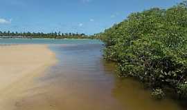 Barra do Jacupe - Barra do Jacuipe-BA-Manguezal-Foto:Peterson Cunha 