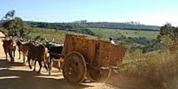 Carro de Boi na Serra do Camapu-MG-Foto:Ulisses Passarelli