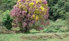 Ubaporanga - Natureza em Ubaporanga-Foto:alberthالله هو قوة