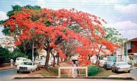 Uberaba - Uberaba - Minas Gerais