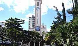 Uberlndia - Uberlndia-MG-Catedral de Santa Teresinha do Menino Jesus-Foto:Vicente A. Queiroz