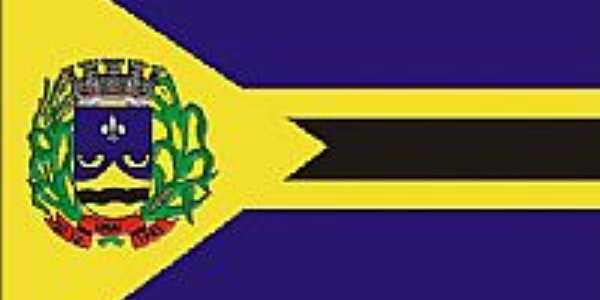 Bandeira da cidade 