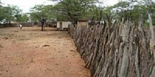 Casa em rea rural de Barro Vermelho-BA-Foto:Ewerton Matos