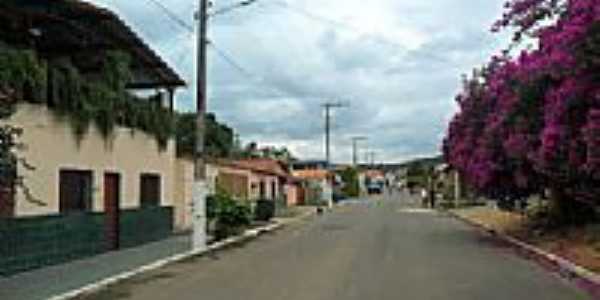 Rua da Grama em Vargem Linda-Foto:zedavargem@hotmail.c...