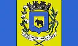 Varzelândia - Bandeira  de Varzelâandia-MG