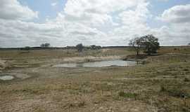 Barrocas - Barrocas-BA-Lagoa na Fazenda Cip-Foto:Aquilino Silva