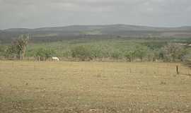 Barrocas - Barrocas-BA-Vista da regio-Foto:Aquilino Silva 