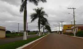 Vazante - Vazante-MG-Palmeiras na Avenida de entrada-Foto:JOSE EYMARD
