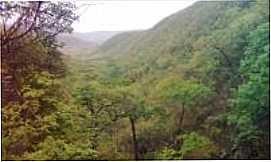 Verdelndia - SERRA DA JAIBA (AGRESTE), Por SANDRO BRANDAO