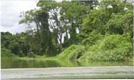 Verdelndia - Rio Verde Grande, Por Danniel