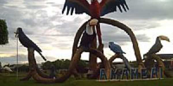 Trevo das araras em Amamba-Foto:Ullmann