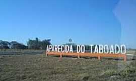 Aparecida do Taboado - Trevo de acesso-Foto:C. Tolentino [Panoramio]