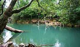 Bonito - Bonito-MS-Rio Perdido na Serra da Bodoquena-Foto:loboguarabikeadventure.