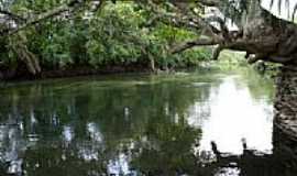 Bonito - Rio Sucuri em Bonito-MS-Foto:Paulo Yuji Takarada