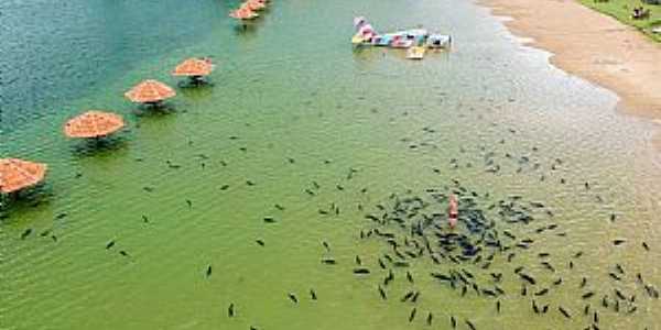 Imagens da cidade de Bonito - MS