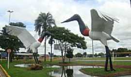 Campo Grande - Tuiuius na praa junto ao Aeroporto Internacional de Campo Grande-Foto:Paulo Yuji Takarada