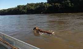 Coxim - Ona Parda atravessando o Rio Taquari em Coxim-MS-Foto:soninha britez