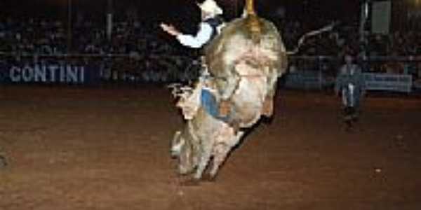 Festa de Rodeio-Foto:eurimar [Panoramio]