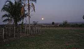 Figueiro - A Lua nascendo na Fazenda Ip-Foto:Juvenal Coelho Ribei [Panoramio]