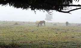 Inocncia - Inocncia-MS-Neblina na pastagem-Foto:Jos Eustquio Ribeiro