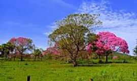 Ladrio - Flora do Pantanal-Foto:Meire Ruiz [Panoramio]