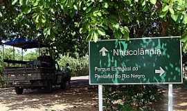 Nhecolndia - Nhecolndia-MS-Pantanal Campingt-Foto:destinodeviagem