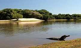 Nhecolndia - Nhecolndia-MS-Pantanal de Nhecolndia-Foto:NEWS DE RV 