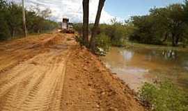 Boa Vista do Lagamar - Boa Vista do Lagamar-BA-Estrada de Boa Vista-Foto:Joo Nris