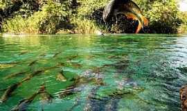 Rio Verde de Mato Grosso - Imagens da cidade de Rio Verde de Mato Grosso - MS