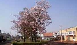 Sidrolndia - Avenida em Sidrolndia-Foto:Valmor Luiz Adona