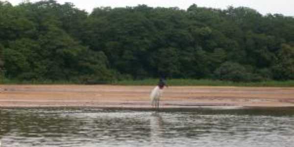 rio taquari Por nestor jose dia filho