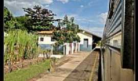 Taunay - Estao Ferroviria de Taunay-MS-Foto:Roberta Soriano