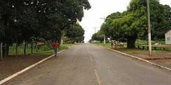 gua Fria-MT-Avenida de entrada da cidade-Foto:www.icmbio.gov.br