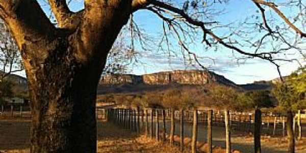 Bom Sossego-BA-Fazenda em Bom Sossego-Foto:acarlosrodrigues