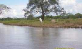 Barão de Melgaço - pantanal b.m, Por rodrigo closs