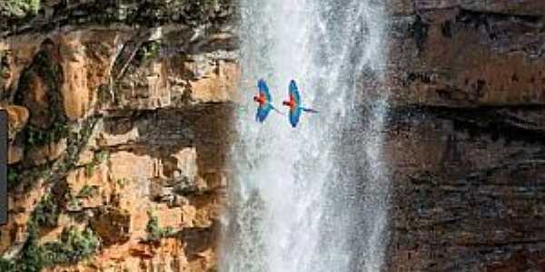 Chapada dos Guimarães-MT-Casal de araras-vermelhas passando pela Cachoeira Véu de Noiva-Foto:Rodrigo Rascher